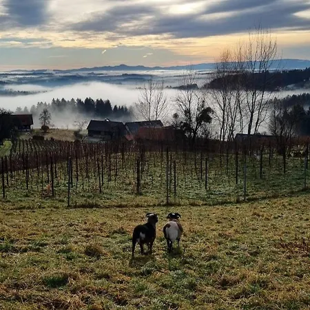 Séjour chez l'habitant Hieblerhof Ferk Gundersdorf