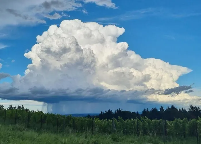 홈스테이 Hieblerhof Ferk *