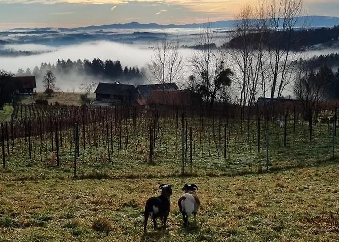 홈스테이 Hieblerhof Ferk Gundersdorf